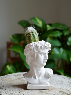 Vasetto David - Wanderlust Factory® ☽ Mobile Fashion Boutique 