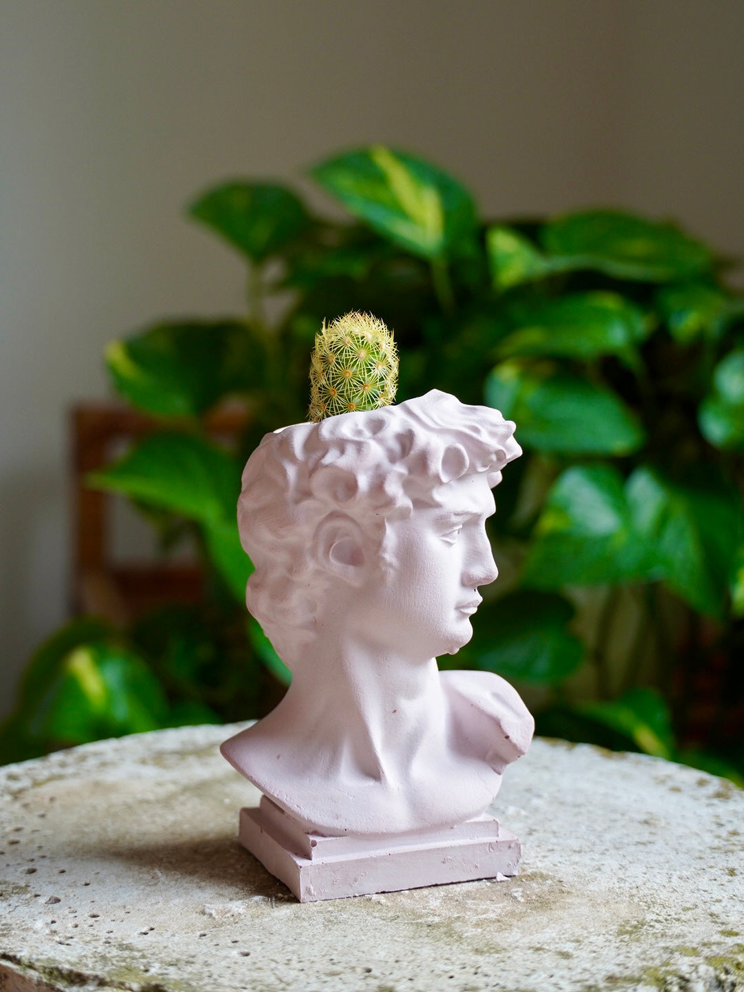 Vasetto David - Wanderlust Factory® ☽ Mobile Fashion Boutique 