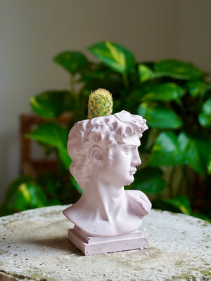 Vasetto David - Wanderlust Factory® ☽ Mobile Fashion Boutique 