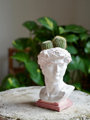 Vasetto David - Wanderlust Factory® ☽ Mobile Fashion Boutique 
