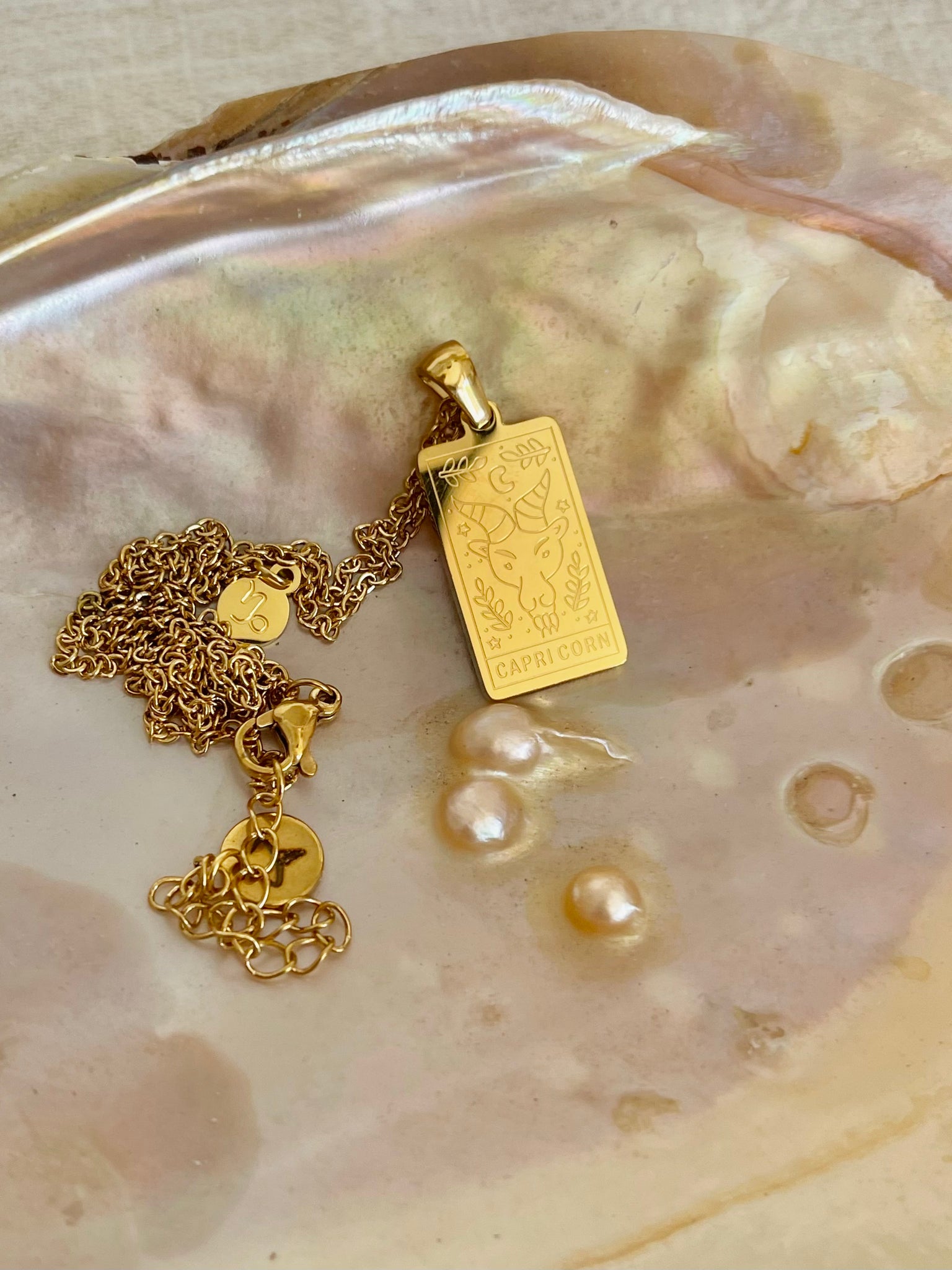 Collana Segno Zodiacale - doppia incisione - Wanderlust Factory® ☽ Mobile Fashion Boutique 