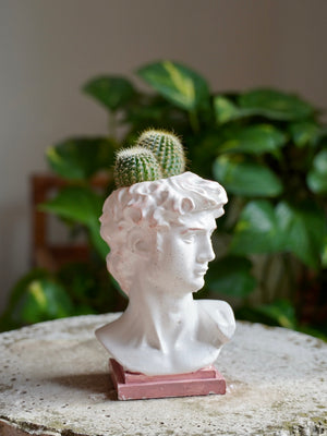 Vasetto David - Wanderlust Factory® ☽ Mobile Fashion Boutique 