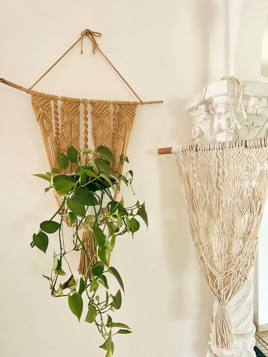 Macramè plant hanger