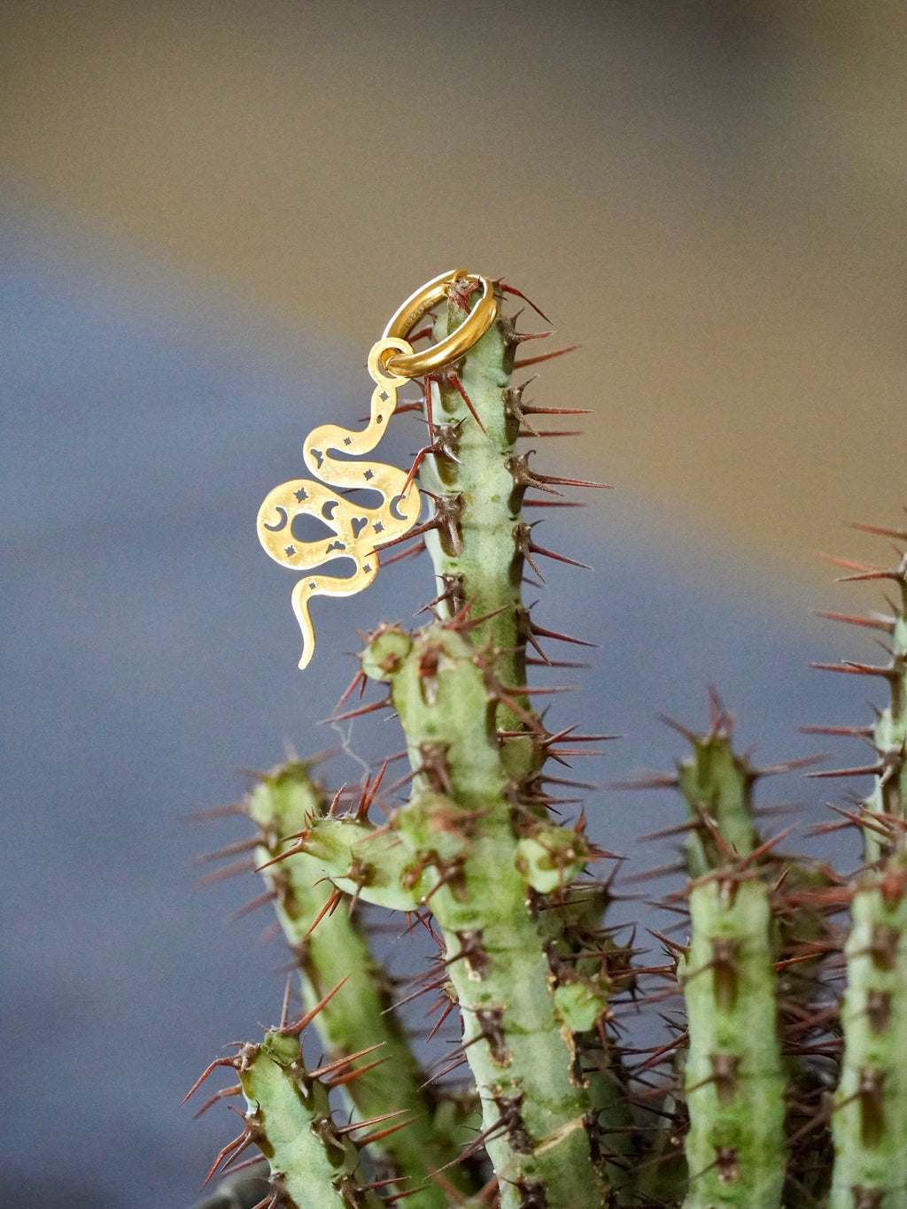 Mono orecchino Desert Snake 🐍